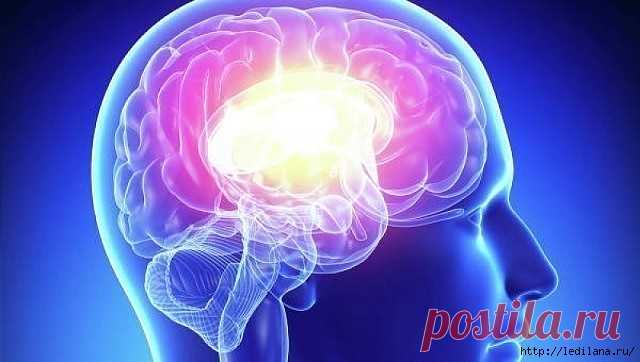 Как не утратить быстроту мышления в старости?