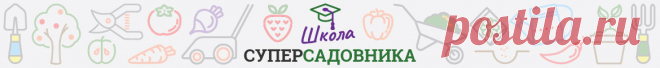 Сад, огород, участок и дом - как обустроить. Все для вашего сада и огорода, участка и дома.