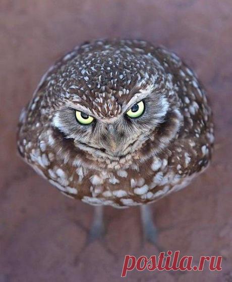 Интересные новости