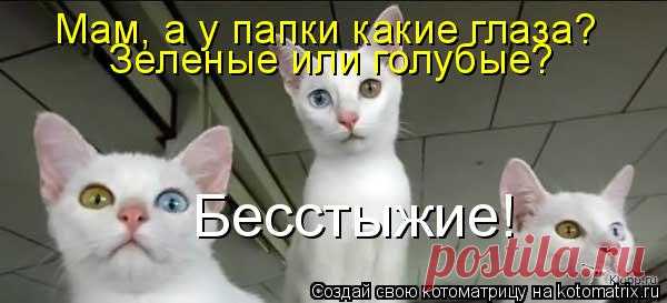 -Мам, а у папы какие глаза, зелёные или голубые? -Бестыжие! 



































