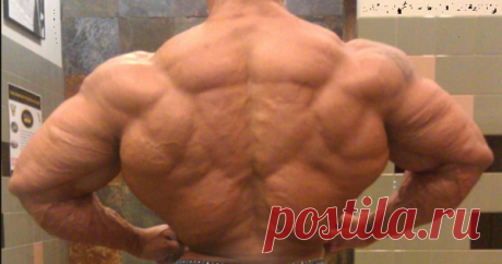 Самые мощные широчайшие мышцы спины в истории бодибилдинга | fitnechannel | Яндекс Дзен