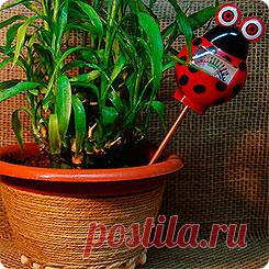 Измеритель влажности почвы (Гигрометр)