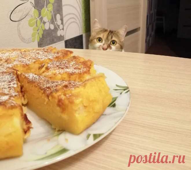 Про кошку, которая презирает семейные чаепития, если они проходят без неё