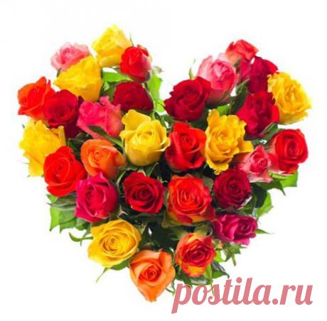 Красивые Цветы  Для Тебя