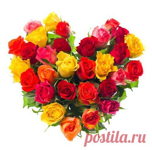 Красивые Цветы  Для Тебя