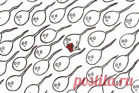 (99) Одноклассники