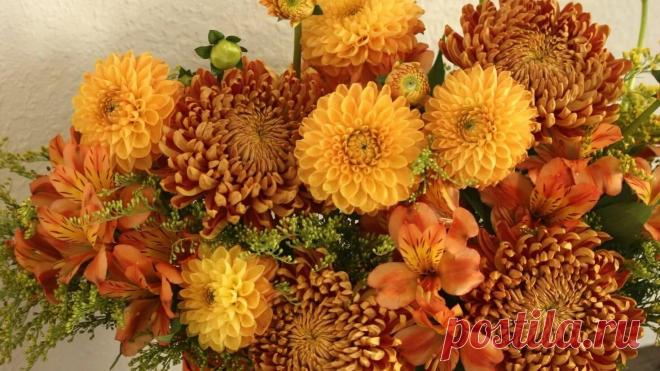 Осенние букеты фото: смотрите и скачивайте изображения — Яндекс Картинки