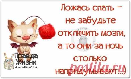 Правда жизни