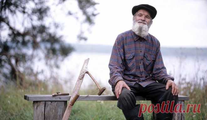 История о том, как дед воспитывал своих внуков: «Оставила нас бабушка на даче…»