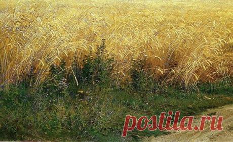 Рожь. Сочинение по картине И.Шишкина | Дизайн на КМВ