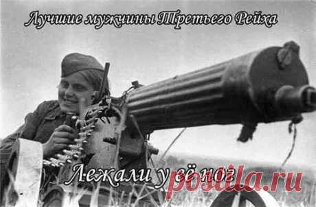 Меня терзают смутные сомненья - Блог Ивана Октября-Колорадского

Был у нас Железный Феликс, теперь есть Железный Тролль дядя Вова.