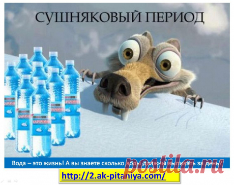 Выпивая норму воды за день - вы улучшаете обмен веществ, выводите токсины из организма, проводите очистку и худеете! Это и много другое мы учим в Академии Питания Онлайн!