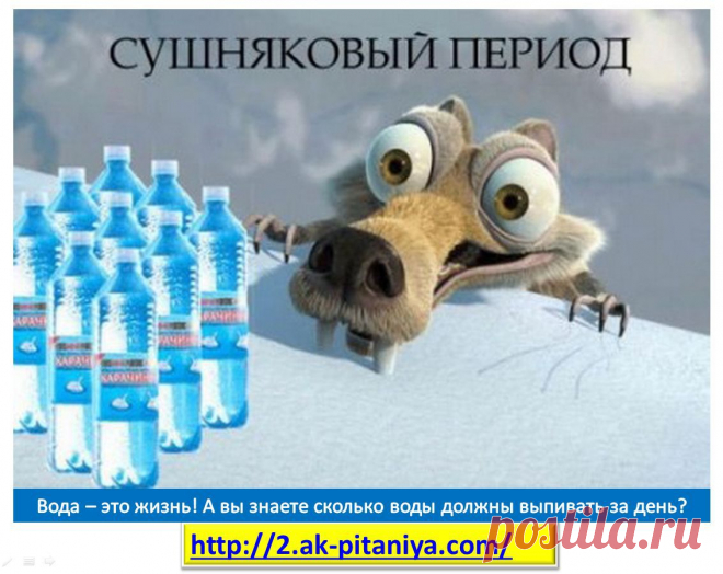 Выпивая норму воды за день - вы улучшаете обмен веществ, выводите токсины из организма, проводите очистку и худеете! Это и много другое мы учим в Академии Питания Онлайн!