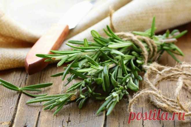 10 ароматных трав, которые придают блюдам пикантность и делают вкус ярче