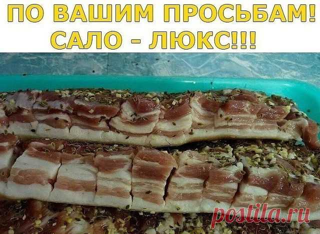 (45) Одноклассники