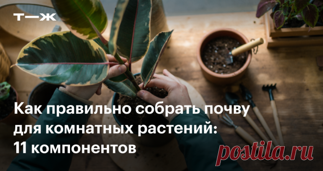 Перлит и цеолит: из чего сделать почву для любого растения Добавки, которые улучшают структуру грунта