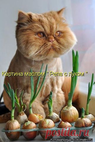 ღ Хραнนлนще сmαтγсов ღ
