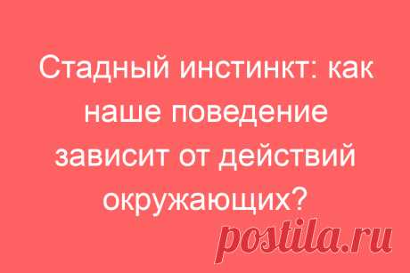 Стадный инстинкт: как наше поведение зависит от действий окружающих?