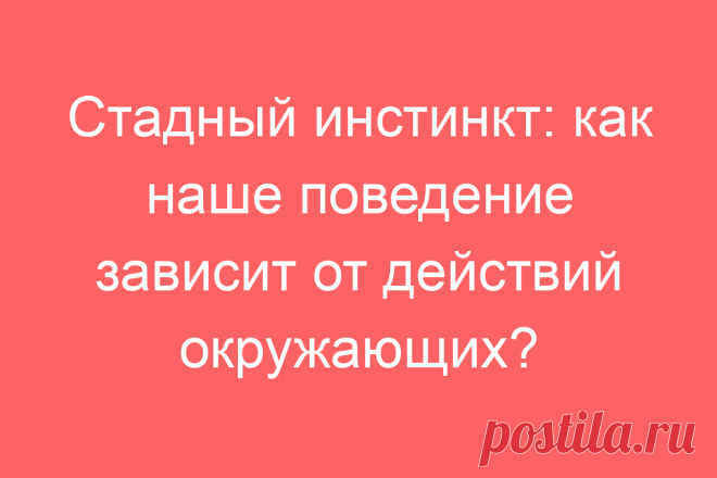 Стадный инстинкт: как наше поведение зависит от действий окружающих?