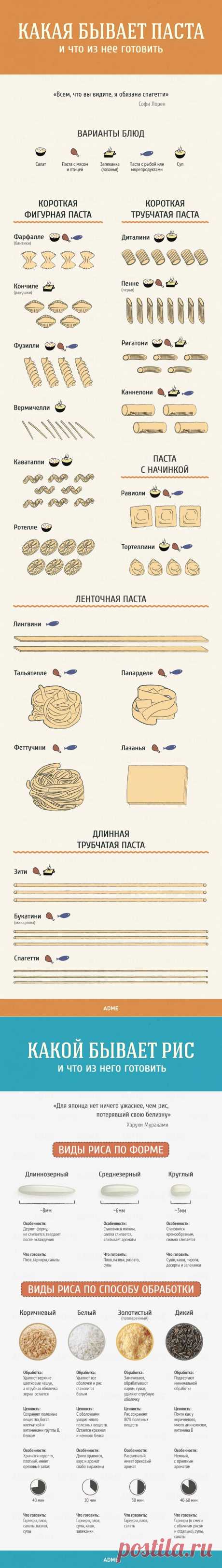 Гид по кухне и готовке