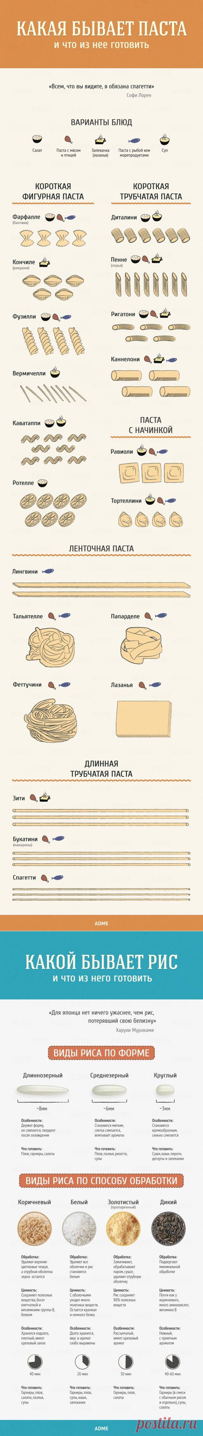 Гид по кухне и готовке