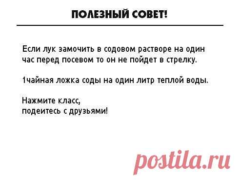 (41) Одноклассники