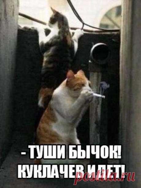 32 Фото Для Отличного Настроения На Всю Неделю!