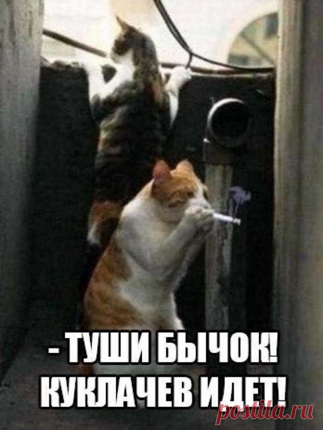 32 Фото Для Отличного Настроения На Всю Неделю!