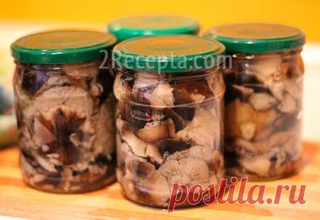 Маринованные рядовки на зиму Вкусные маринованные рядовки станут прекрасной закуской на праздничном столе и отлично дополнят домашний ужин. А вот как их вкусно приготовить...