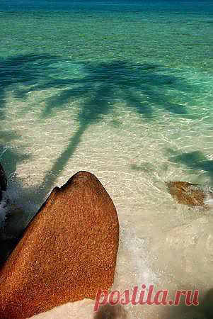Фотостена - лучшие фотографии путешествий - TripAdvisor