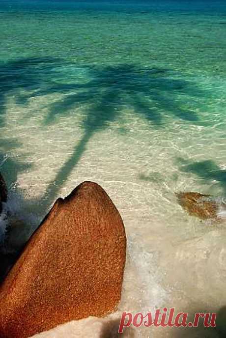 Фотостена - лучшие фотографии путешествий - TripAdvisor