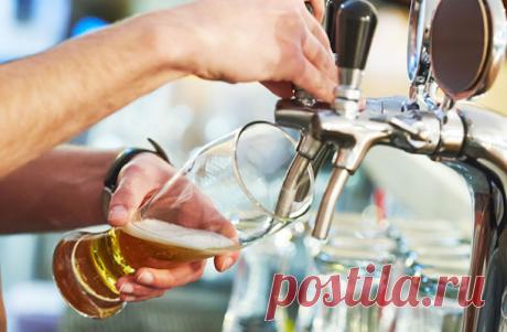 15 ВИДОВ ПИВА, О ПОЛОВИНЕ КОТОРЫХ ВЫ ДАЖЕ НЕ СЛЫШАЛИ Пиво — это целый мир, изучать который можно всю жизнь. Однажды встав на путь исследования хмельного напитка, можно погружаться все глубже и глубже, пока, наконец, не обнаружишь себя с пинтой очередного лагера, сваренного по рецепту, найденному на чердаке старинного дома, где-нибудь в Северном Уэльсе