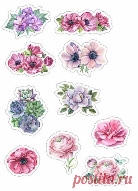 (115) Pinterest