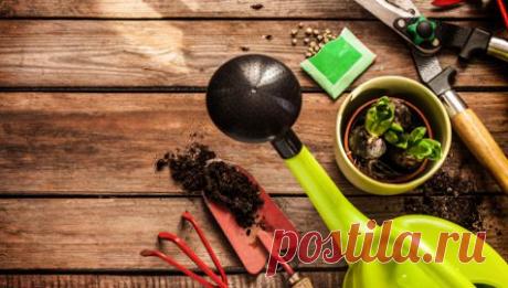 Сад, огород, участок и дом - как обустроить. Все для вашего сада и огорода, участка и дома.