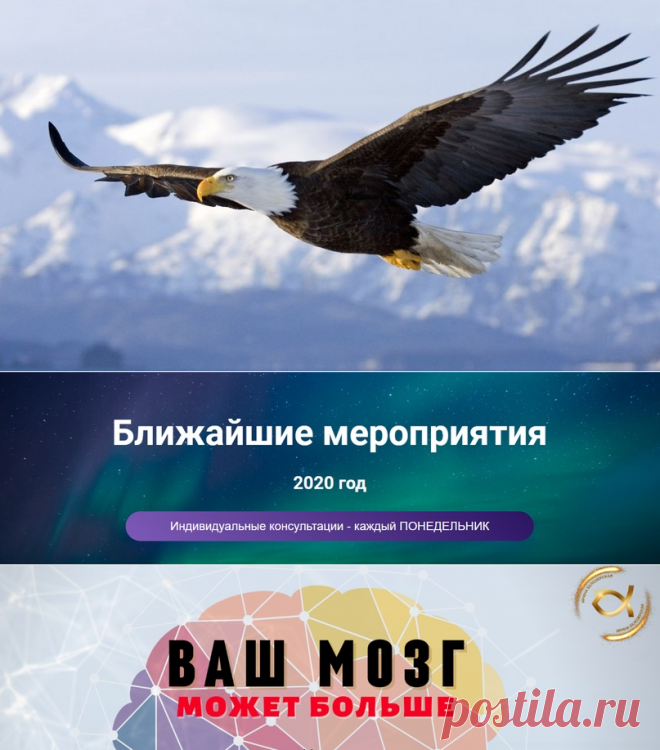 ⭕ ВАШ МОЗГ МОЖЕТ БОЛЬШЕ. Достигайте результатов, которые недоступны для других! Способность головного мозга человека, которую нарекли гениальностью, но которая потенциально доступна каждому!