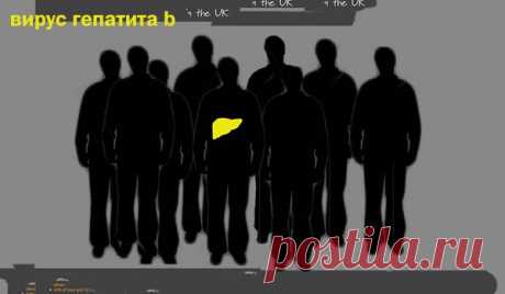 Вирус гепатита b: можно ли заразиться и не знать об этом?