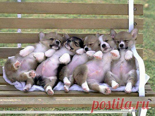 Мой Мир@Mail.Ru