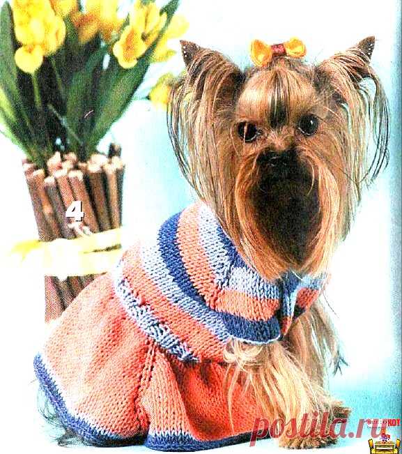 Вязаная одежда для маленьких собак — Полосатое платьице - Чисто КОТ - Чисто КОТ