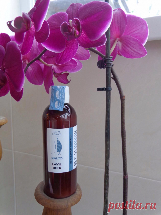 Lavyl Clean – гель для душа

Обеспечивает чистоту и обновление кожи. Через день наносим на влажное тело, оставляем минимум на 30 секунд и потом смываем. После наносим крем для тела Lavyl Body.

Lavyl Body — крем для тела

Предназначен для ежедневного ухода за телом. Раз в три дня нанести на поверхность тела и нежно массировать. Имеет предупреждающее действие при использовании с Lavyl Auricum Sensitive. 

Поможет в следующих случаях:
Lavyl Body Аллергия на пыльцу: