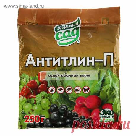 Смородина и тля: советы тети Тани