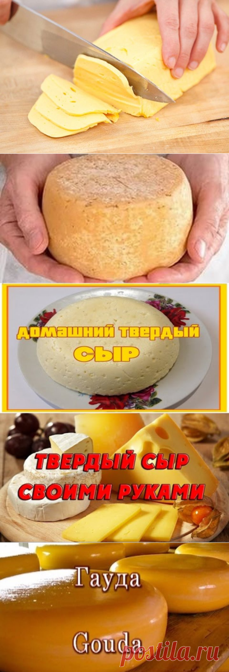 Домашний твердый сыр