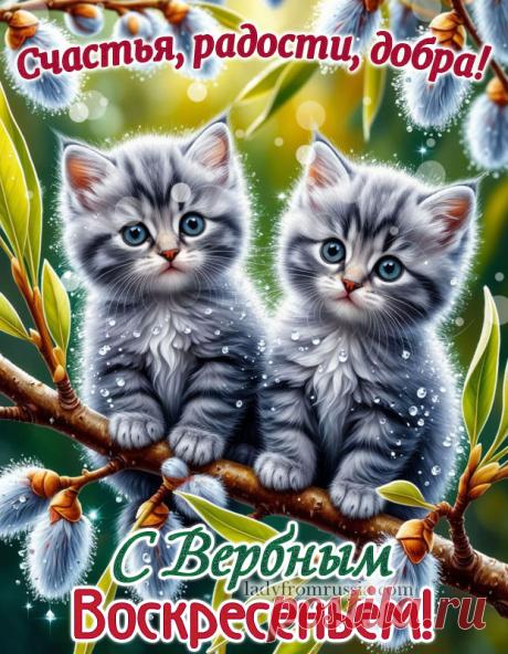 Красивые открытки с Вербным Воскресеньем, картинки с поздравлениями