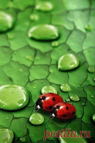 Zl5SGhd9Ac8.jpg (403×604)