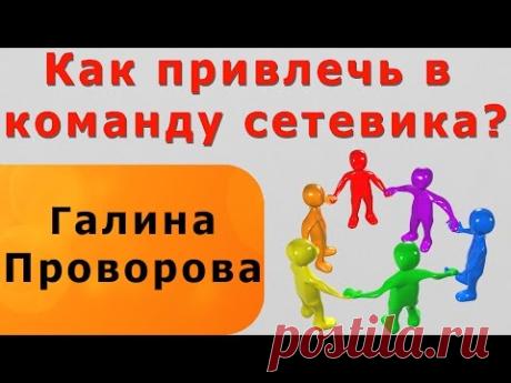 Как привлечь в команду сетевика?