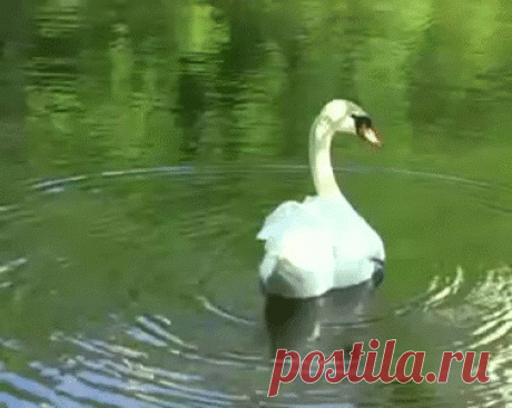 ☜❶☞ᗹỔṦṦ☜❶☞✟ Ř❣ũ❣š❣ľ❣ằ❣n✟