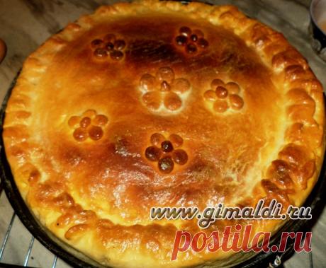 Курник | ДЕЛА ЖИТЕЙСКИЕ...