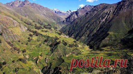 Elizabeth Estela Vivas compartió la foto de El... - Elizabeth Estela Vivas