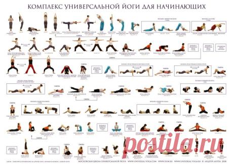 Йога для начинающих. Йога для здоровья