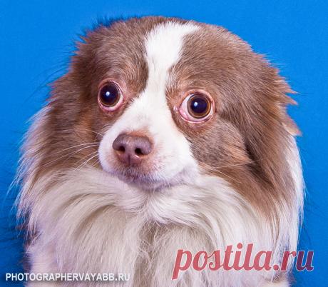 получилась мило а боялась