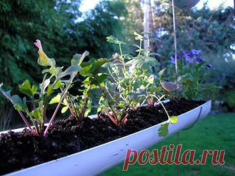 Подвесные грядки из ПВХ своими руками